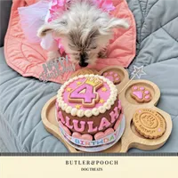 Dog Birthday Cake (Pink) – Image 7