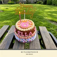 Dog Birthday Cake (Pink) – Image 8