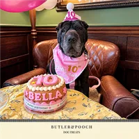 Dog Birthday Cake (Pink) – Image 6