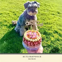 Dog Birthday Cake (Pink) – Image 3