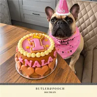 Dog Birthday Cake (Pink) – Image 4