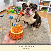 Dog Birthday Cake (Orange) – Image 3