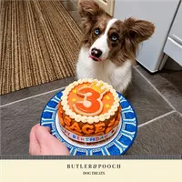 Dog Birthday Cake (Orange) – Image 4