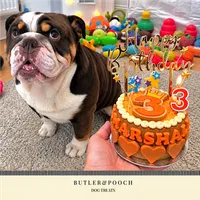 Dog Birthday Cake (Orange) – Image 5