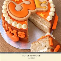 Dog Birthday Cake (Orange) – Image 10