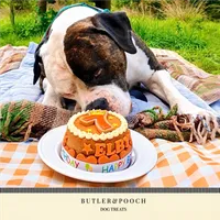 Dog Birthday Cake (Orange) – Image 8