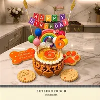 Dog Birthday Cake (Orange) – Image 6
