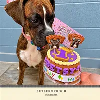 Dog Birthday Cake (Purple) – Image 3