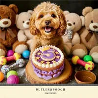 Dog Birthday Cake (Purple) – Image 7