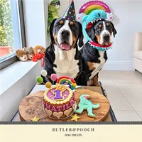 Dog Birthday Cake (Purple) – Image 6