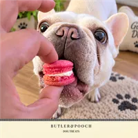 Dog Macarons – Image 8