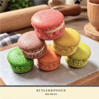 Dog Macarons – Image 4