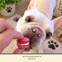 Dog Macarons – Image 10