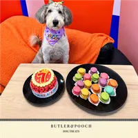 Dog Macarons – Image 5