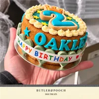 Dog Birthday Cake (Blue) – Image 11