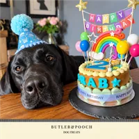 Dog Birthday Cake (Blue) – Image 3