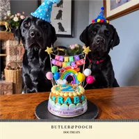 Dog Birthday Cake (Blue) – Image 8