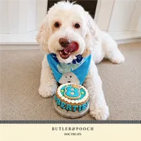 Dog Birthday Cake (Blue) – Image 7