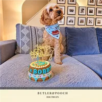 Dog Birthday Cake (Blue) – Image 9