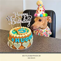 Dog Birthday Cake (Blue) – Image 6