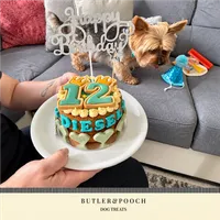 Dog Birthday Cake (Blue) – Image 5