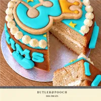 Dog Birthday Cake (Blue) – Image 12