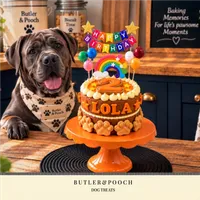 Paw Dog Birthday Cake (Orange) – Image 4