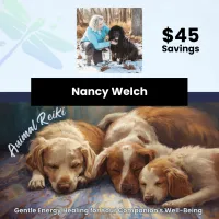 Animal Reiki (3-Session Package) with Nancy Welch – Image 1