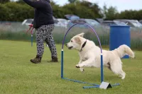 Hoopers Block Booking Durham – Image 1