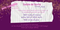 Saisie de texte – Image 1
