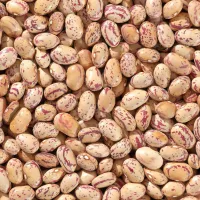 Sugar Beans – Image 1