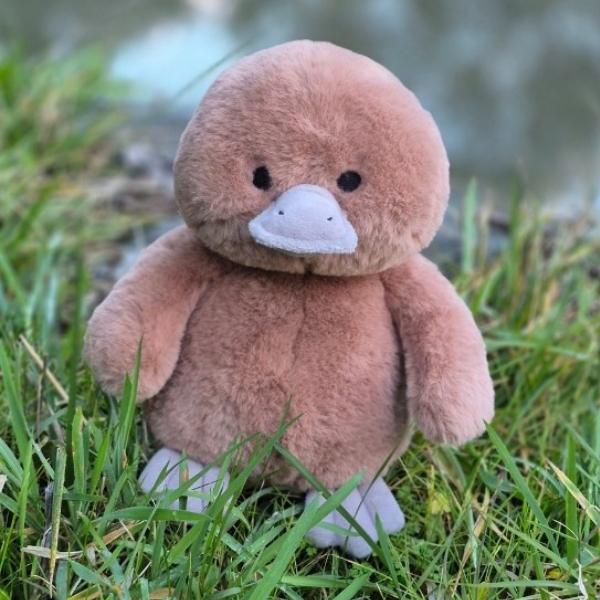 River the Platypus Soft Plush Toy – Image 2