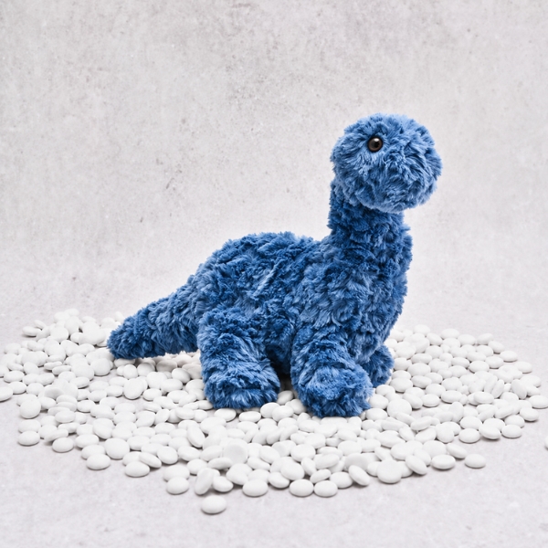 Pre-Order: Danny the Dinosaur - Blue – Image 2