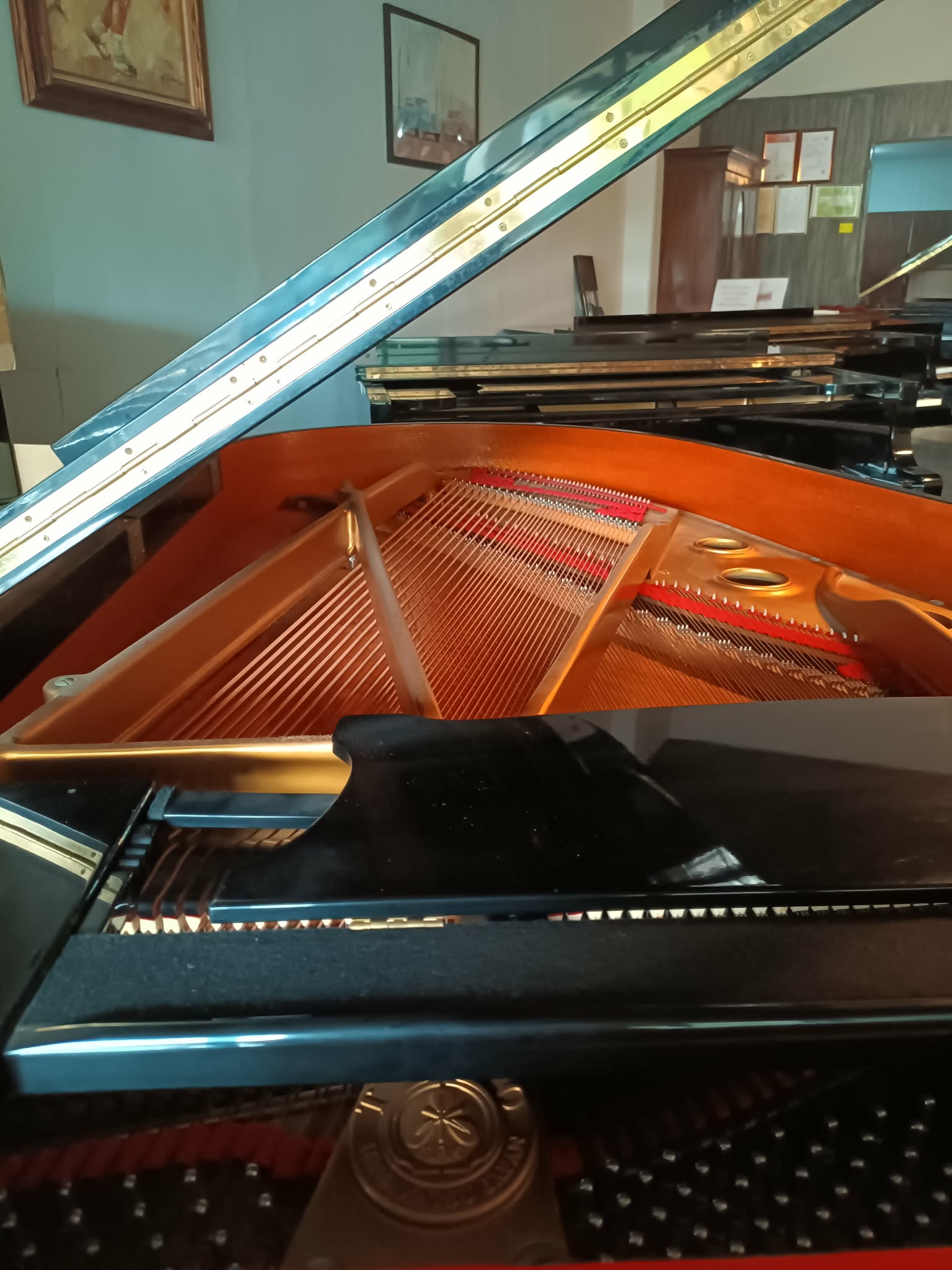 APOLLO A35 Grand Piano- 189337 – Image 1