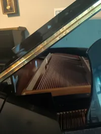 Yamaha Grand Piano C3B-1558596 – Image 10