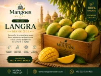 Langra Premium mango – Image 1