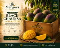 Multani Black Chaunsa – Image 1