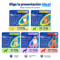 NexGard Spectra para perros – Image 2