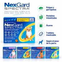 NexGard Spectra para perros – Image 3