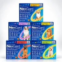 NexGard Spectra para perros – Image 1