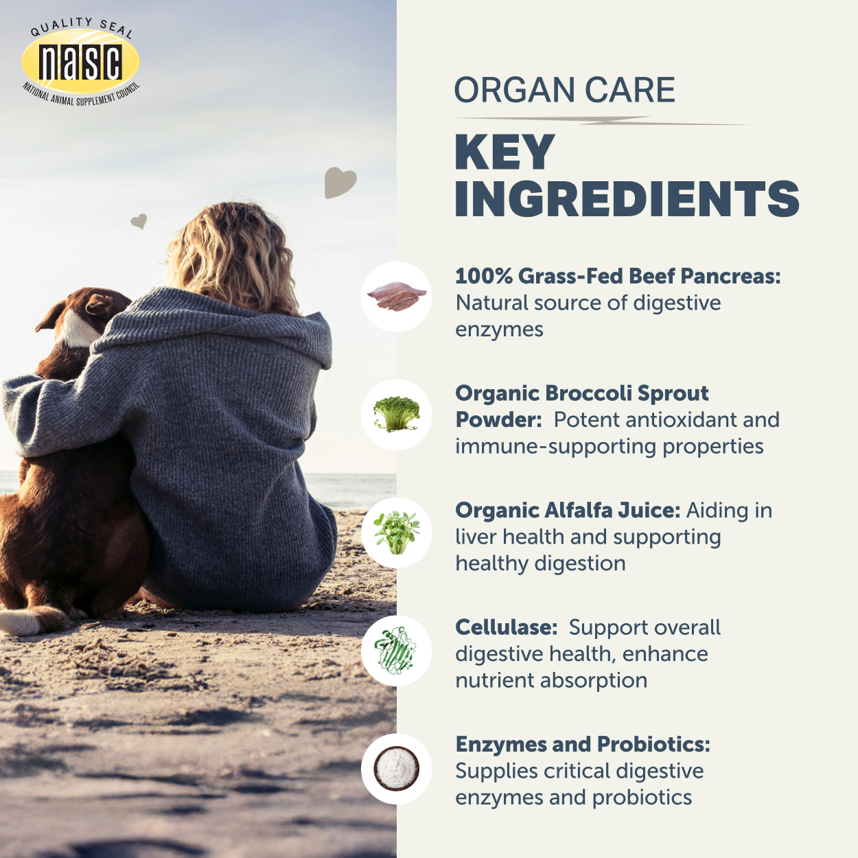 Organ Care Digestive Enzymes for Dogs – Image 4