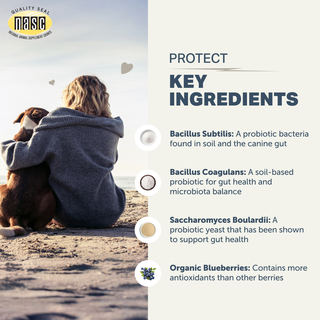 Protect | Probiotics for Dogs Best – Image 6