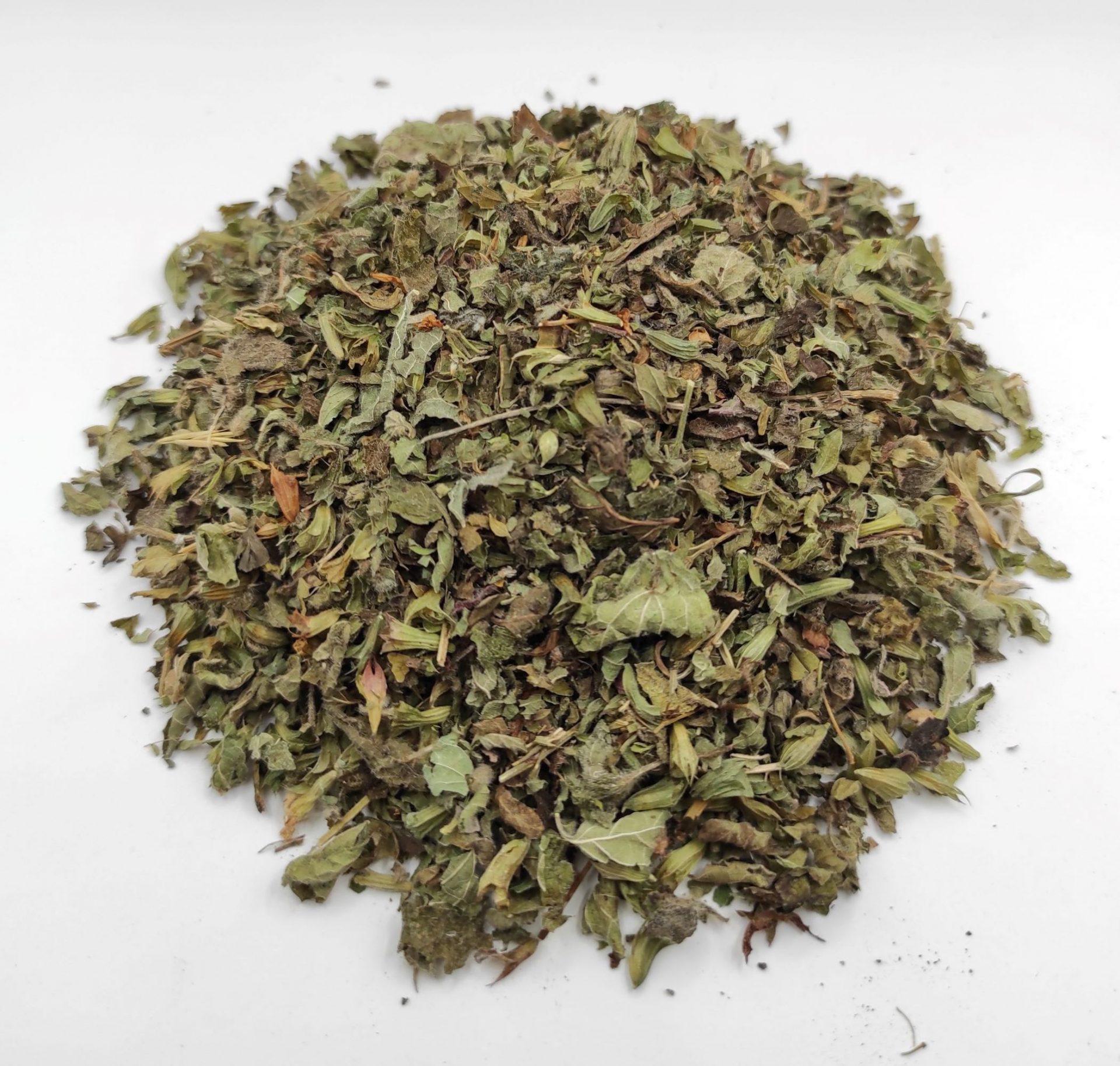 Lemon Balm – Image 1