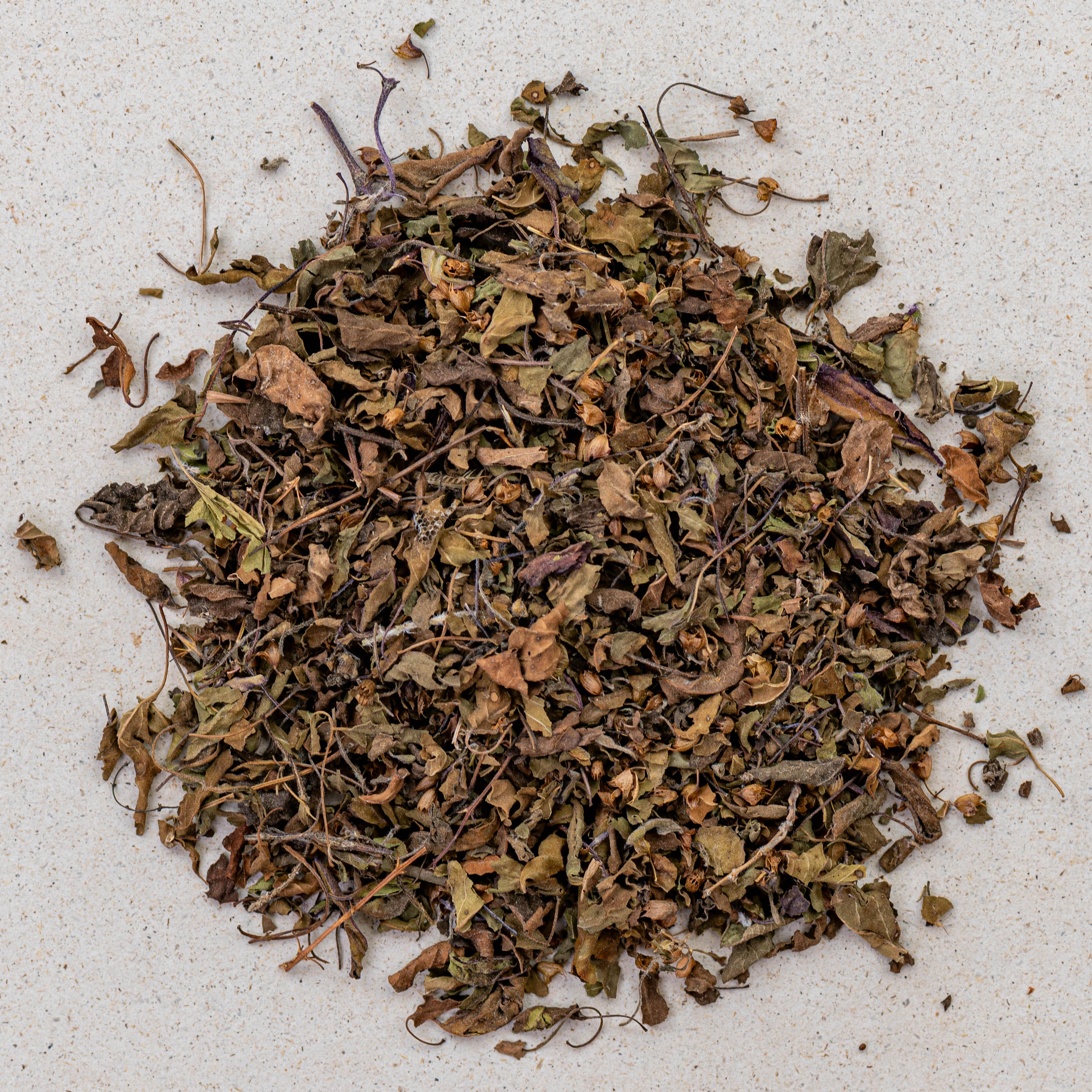 Tulsi Holy Basil – Image 1