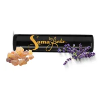 Lippy Lip Lip Balm, Intro Size – Image 3