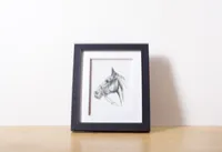 Arkle - Racehorse – Image 2