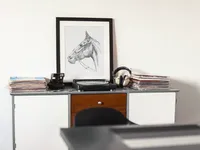 Arkle - Racehorse – Image 3