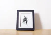 Show Jumper – Image 2