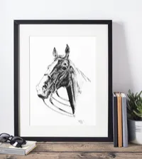 Show Jumper – Image 3