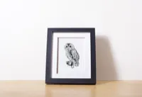 Owl – Image 2